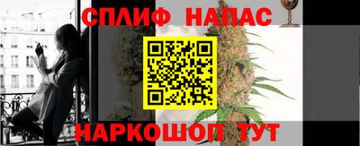 Альфа ПВП Бердск