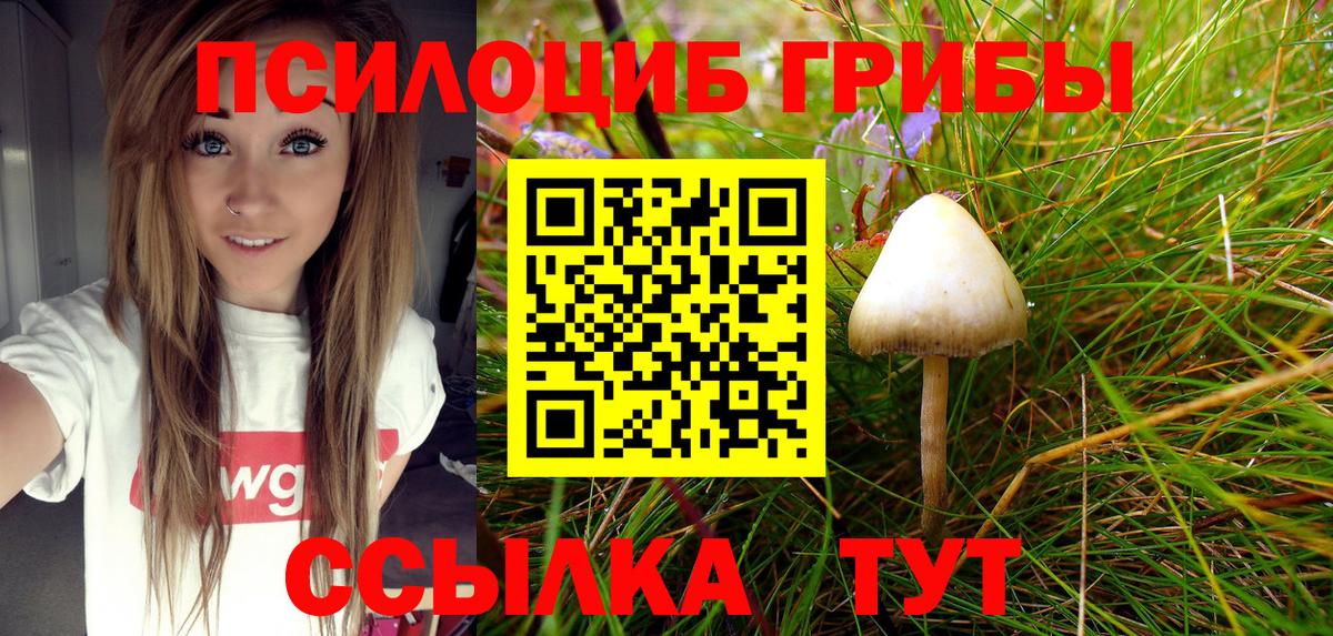 Галлюциногенные грибы MAGIC MUSHROOMS  Вход с VPN  Вязники  сколько стоит  Галлюциногенные грибы Psilocybine cubensis 