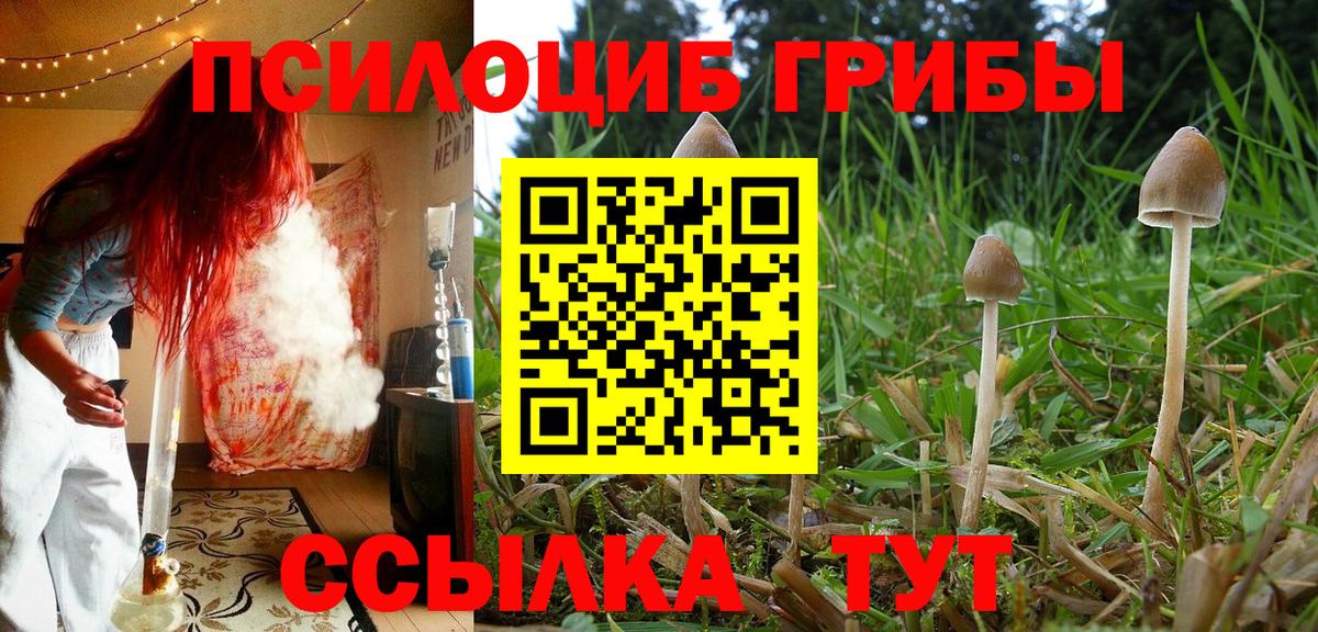 ГАШИШ Вязники